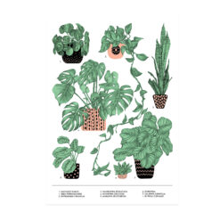 Poster växter Favourite Plants av Frida Clerhage