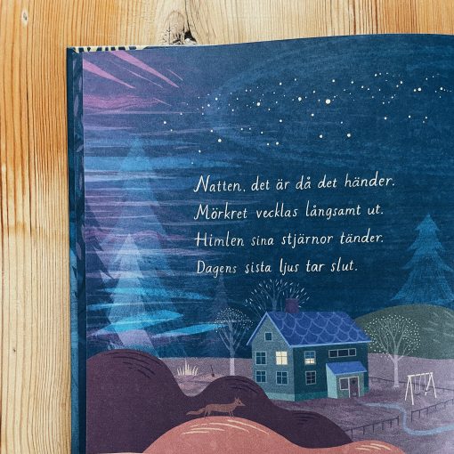 Barnbok Nattvisa av Lena Sjöberg